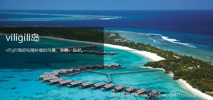 �������� �������棺3��