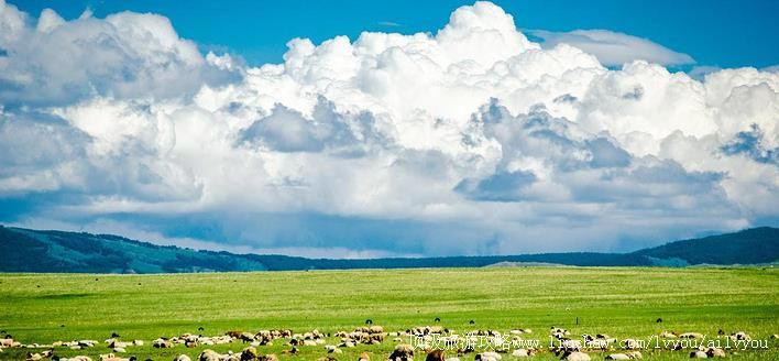 �ɹ� �������棺1��