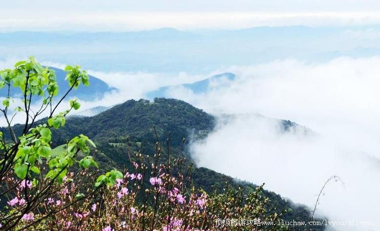 4A广西北流大容山国家森林公园旅游攻略