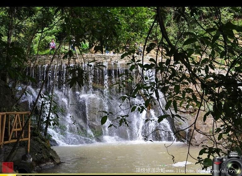 3A广西黎寨蝴蝶谷旅游攻略