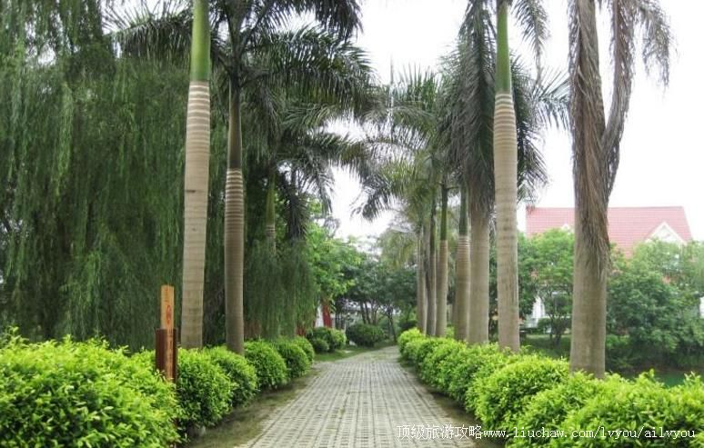 4A广西南宁乡村大世界旅游攻略