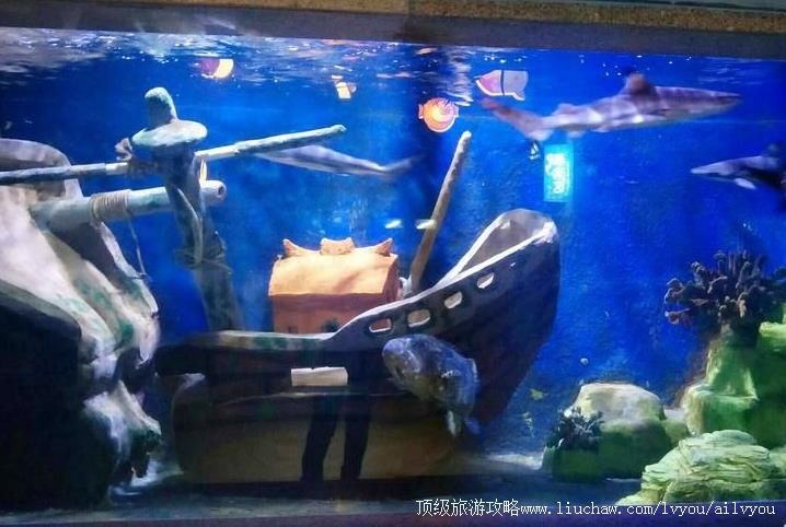 3A�������������������ι���