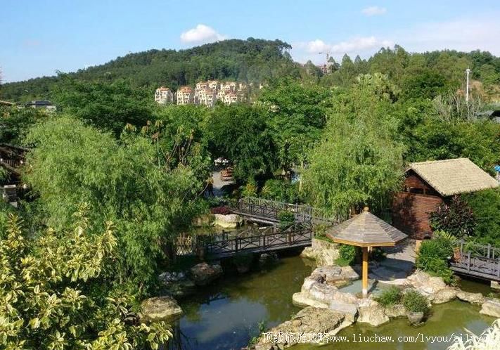 4A广西柳州凤凰河生态旅游度假区旅游攻略