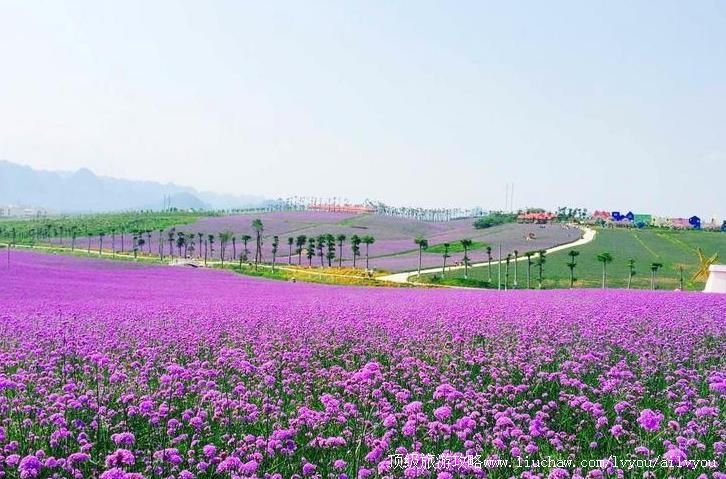 4A�����ó�޹�²�ׯ԰���ι���