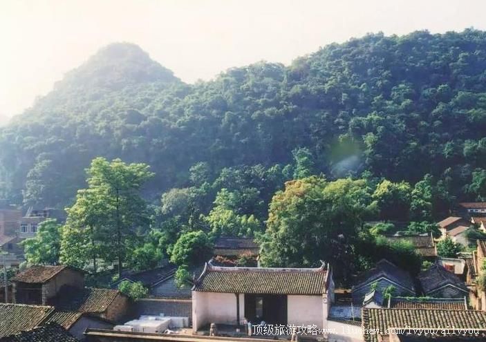 4A�����ó�Ī����˾�������ι���