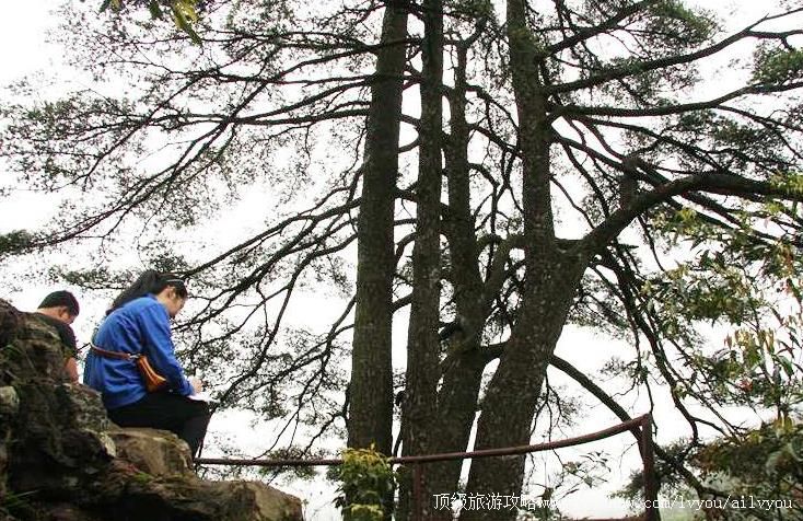 4A����������ɼɭ�ֹ�԰���ι���