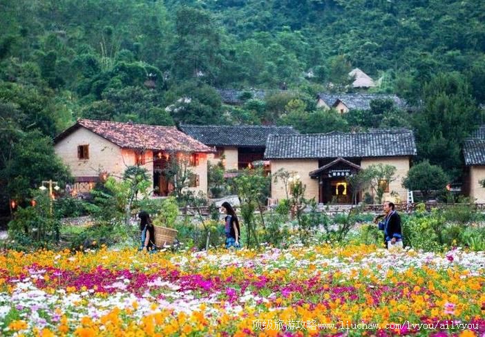 4A广西南丹歌娅思谷白裤瑶风情园旅游攻略