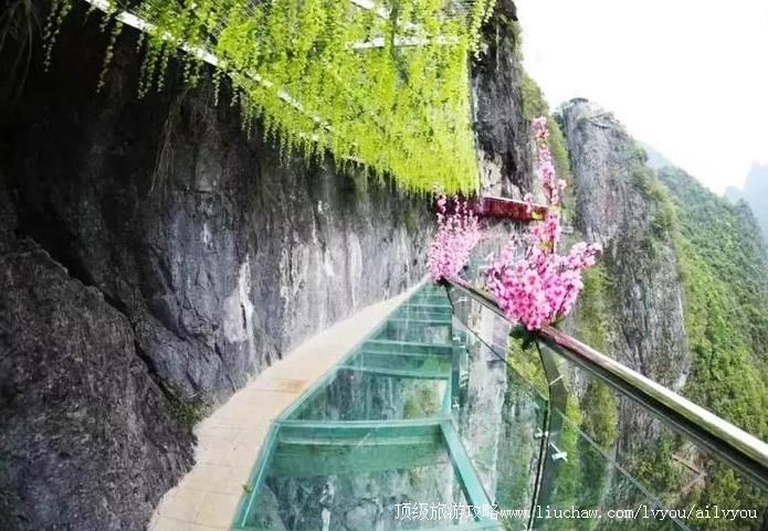 4A广西河池南丹丹炉山景区旅游攻略