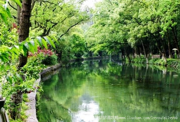 �����˰��������ι���