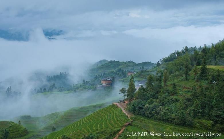 4A���������������ι���