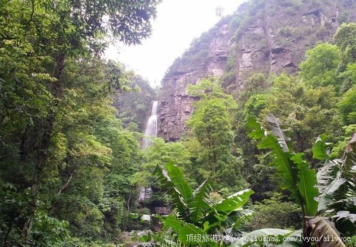 3A������������ٲ��������ι���