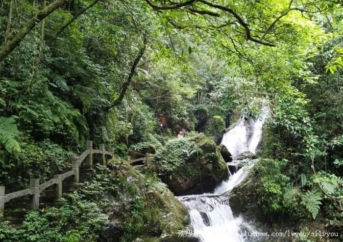 3A�������������ٲ��������ι���