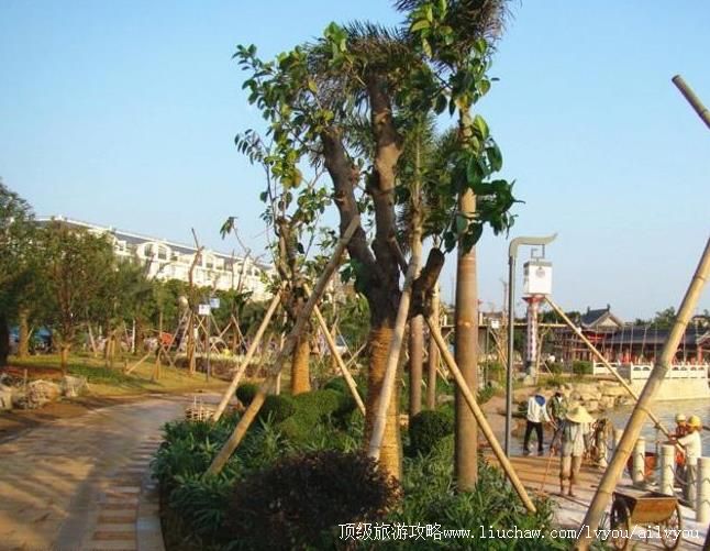 ������۶�����԰���ι���