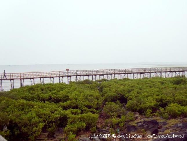 广西北仑河口国家级自然保护区旅游攻略