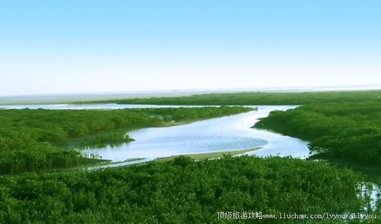 ��������ɽ�ں�������̬���Ҽ���Ȼ���������ι���