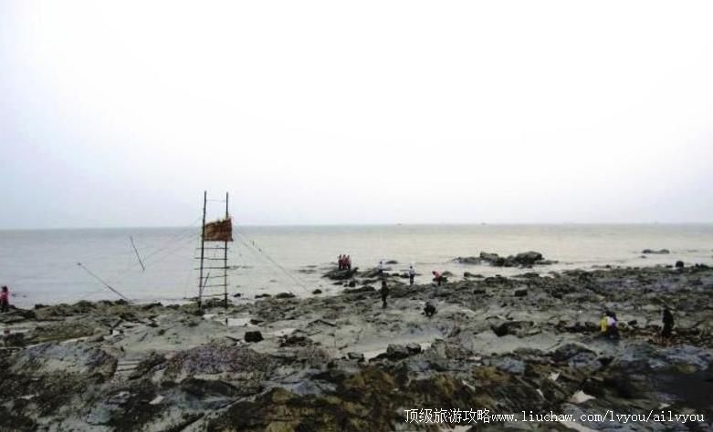 ����������������ι���