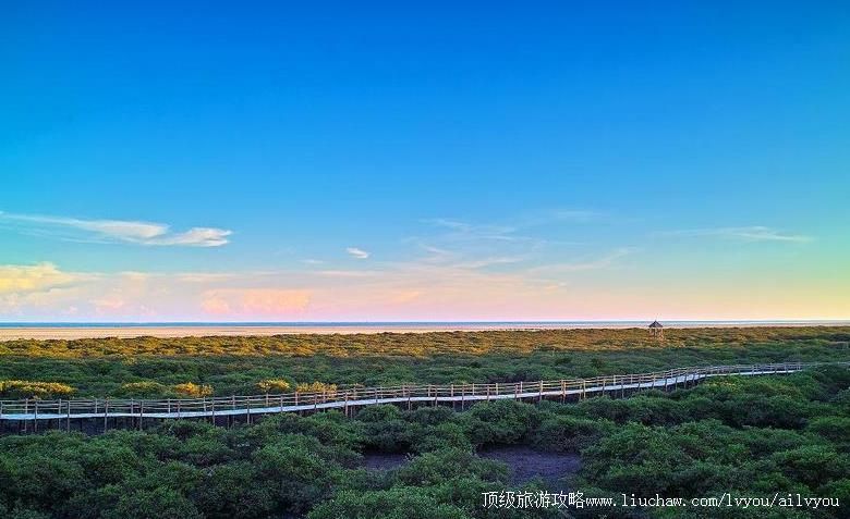 4A���������������������̬���������ι���