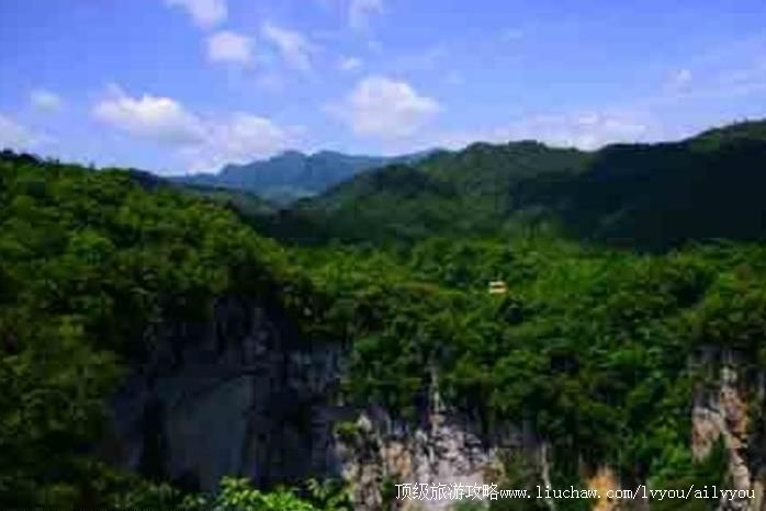 �����ų�����ֲ����Ҽ���Ȼ���������ι���