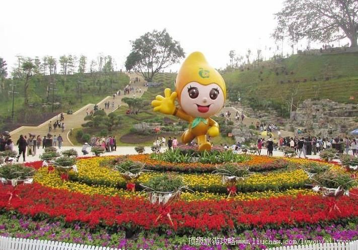 4A������ɫ԰��԰���ι���