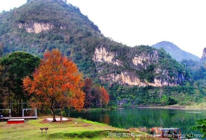 4A������ɫ�±���Ҷɭ�ֹ�԰���ι���