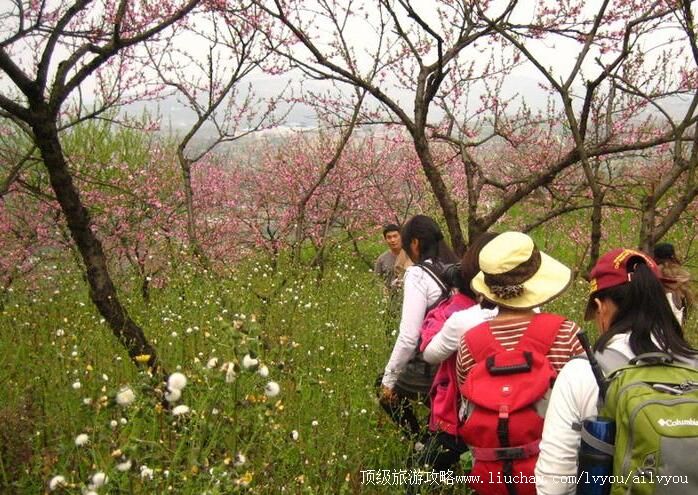2A重庆渝北区鹿山农业观光园旅游攻略