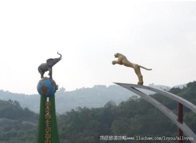 4A重庆野生动物世界旅游攻略