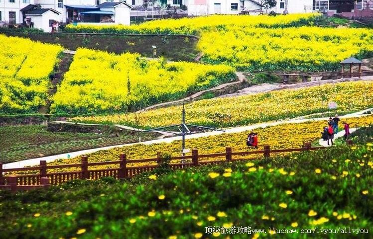 ���������淼�������ι���