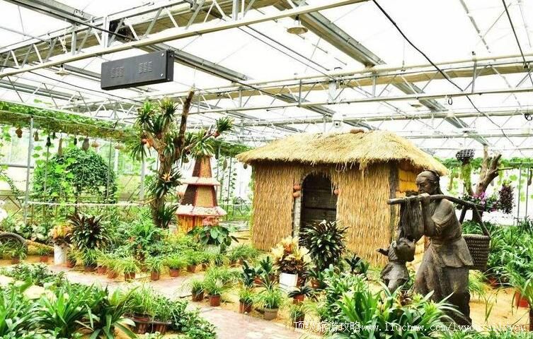 3A��������ͬ���߲˴��԰���ι���