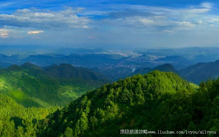 2A�������ݴ����ɭ�ֹ�԰���ι���