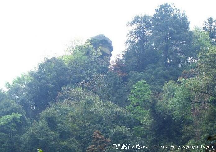 �������ɽ�D����Ȫ�羰�����ι���