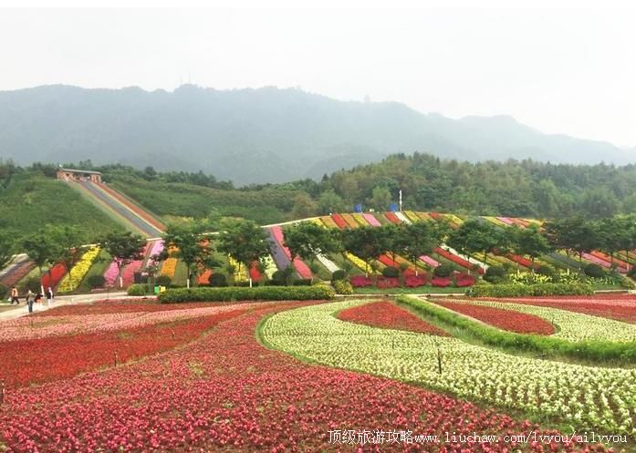 4A����ͭ�������������԰���ι���