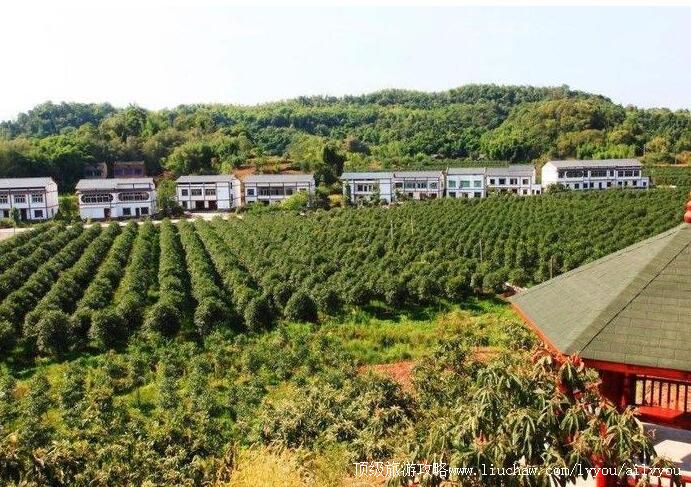 3A����ͭ���𻨲���԰���ι���