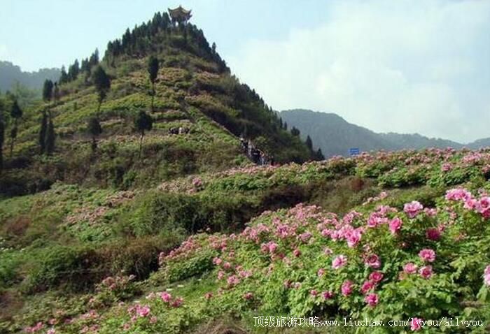 2A����潭ĵ����̬���������ι���