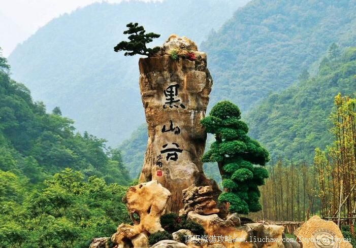 5A重庆万盛黑山谷旅游攻略
