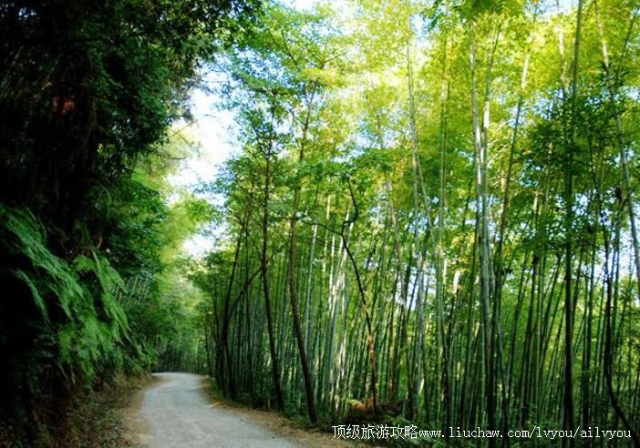 �������ɽɭ�ֹ�԰���ι���