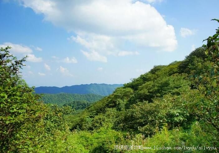 5A�����ϴ����ɽ-����Ͽ���ι���