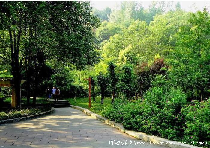 3A�ϴ���ɽ��԰���ι���