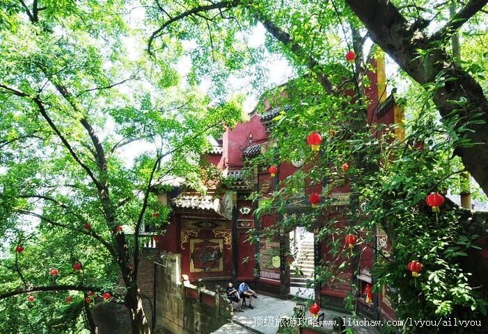 �����Ͼ������ι���