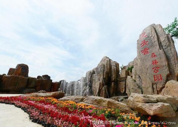 4A���쿪����ͷ��ɭ�ֹ�԰���ι���