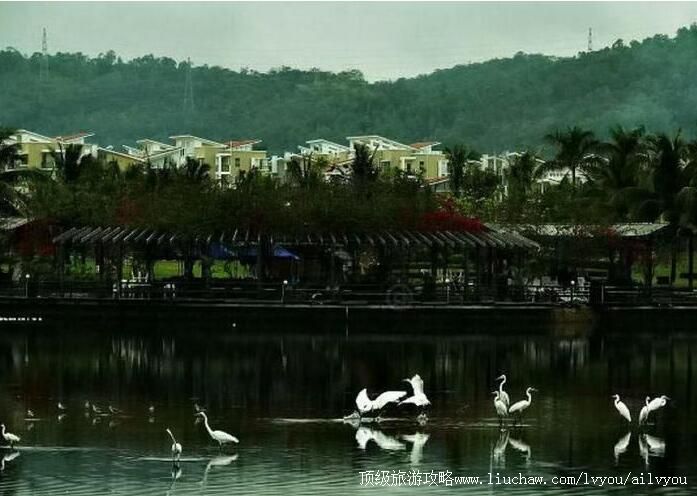 1A重庆三多桥白鹭园旅游攻略