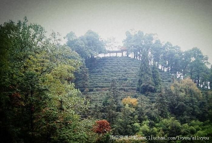 2A���콭�����Qɽ�羰�����ι���