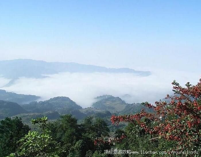 ����ʥ��ɽɭ�ֹ�԰���ι���