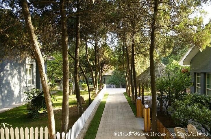 3A�����������������ι���