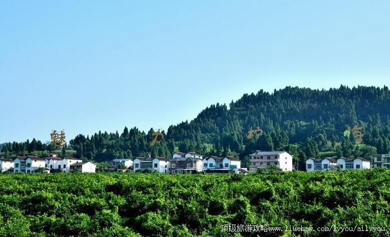 3A�Ĵ��������������������ι���