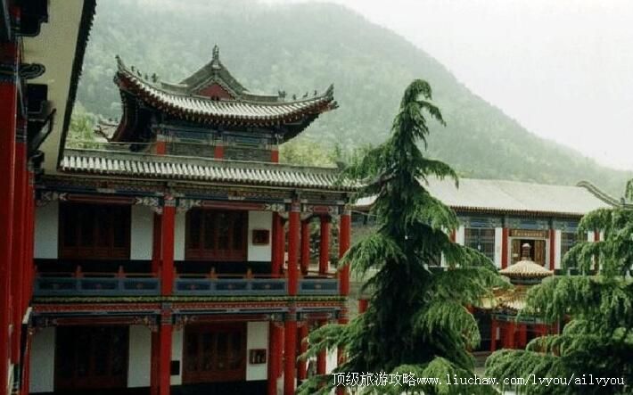 3A����������������������ι���