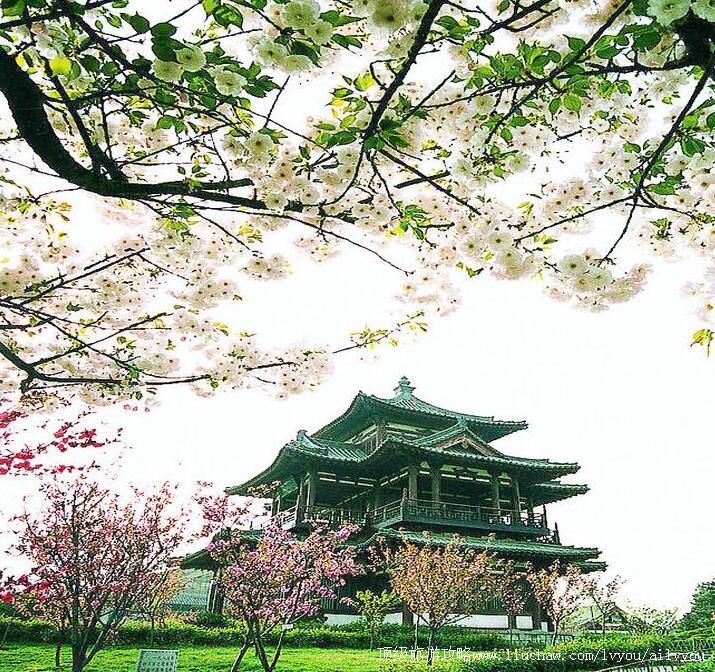 3A�����������������ι���