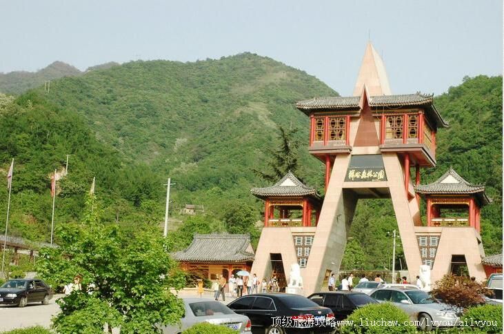 3A������������ɭ�ֹ�԰���ι���