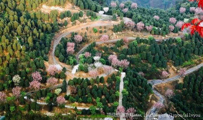 4A�Ĵ��������軨�����ι���