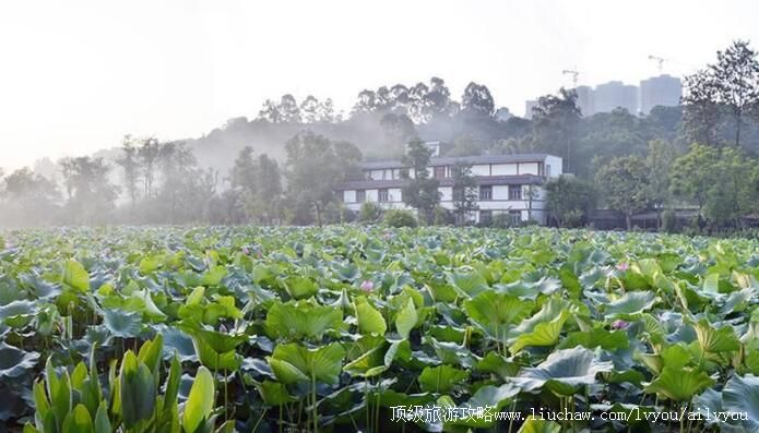 3A�Ĵ��˱���ع�԰���ι���