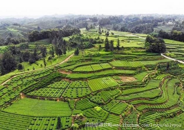 4A�Ĵ��Ű�ţ��ƺ�������ι���